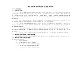 觸電事故現(xiàn)場(chǎng)處置方案doc