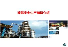 液氨知識培訓(xùn)課件ppt