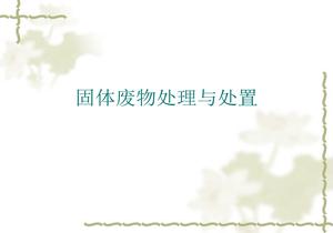 固體廢物處理與處置ppt