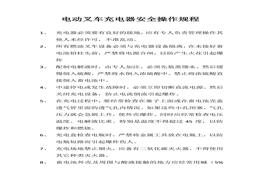 電動叉車充電器安全操作規(guī)程docx