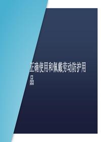 正確使用和佩戴勞動防護(hù)用品丨32頁pptx
