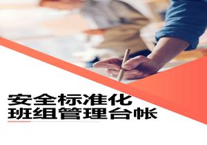 安全標(biāo)準(zhǔn)化班組管理臺帳docx