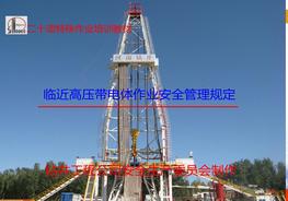 高壓帶電體作業(yè)安全培訓(xùn)（61頁）pptx