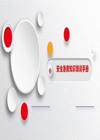 2023安全急救知識培訓(xùn)手冊pptx