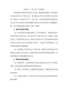 加油站“一線(xiàn)三排”年度報(bào)告doc