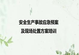 安全生產(chǎn)事故應(yīng)急預(yù)案及現(xiàn)場(chǎng)處置方案培訓(xùn)pptx