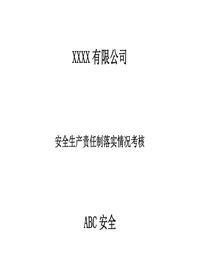 安全生產責任制落實情況考核方法doc