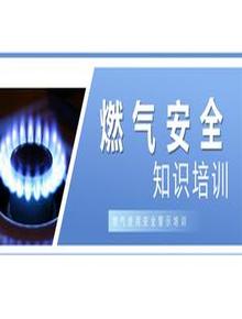 燃?xì)馐褂冒踩九嘤?xùn)丨53頁(yè)pptx