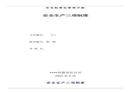 安全生產(chǎn)三項制度匯編docx
