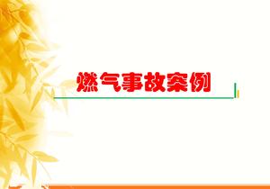 燃氣事故案例學(xué)習(xí)ppt