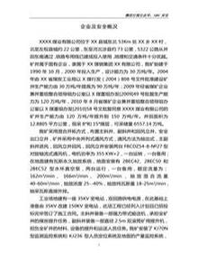 企業(yè)及安全概況doc