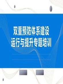 風(fēng)險(xiǎn)分級(jí)管控與隱患排查治理雙體系運(yùn)行與提升（33頁(yè)）pptx