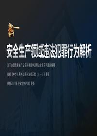 關(guān)于安全生產(chǎn)領(lǐng)域違法犯罪的詳細(xì)解析pptx