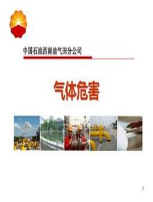 氣體危害培訓(xùn)ppt