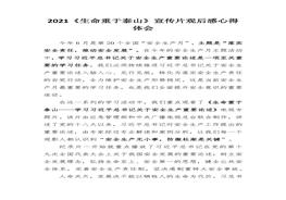 《生命重于泰山》宣傳片觀后感心得體會docx