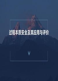過(guò)程本質(zhì)安全及其應(yīng)用與評(píng)價(jià)（51頁(yè)）pptx