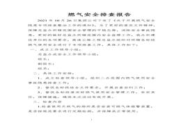 燃氣安全排查報告docx