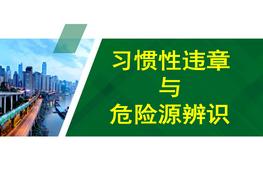 習(xí)慣性違章與危險(xiǎn)源辨識(shí)pptx