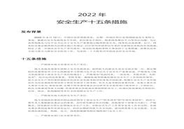 2022年安全生產(chǎn)十五條措施強(qiáng)化安全生產(chǎn)責(zé)任落實(shí)堅(jiān)決防范遏制重特大事故docx