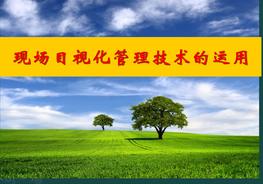 現(xiàn)場目視化管理技術的運用PPTpptx