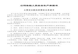 公司各級(jí)人員安全生產(chǎn)承諾書docx