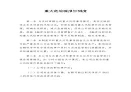 重大危險源報告制度docx