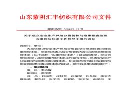 領(lǐng)導小組成立文件(1)doc