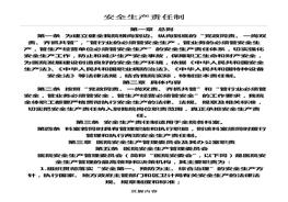 醫(yī)院安全生產(chǎn)責(zé)任制docx