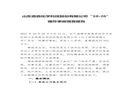 山東鼎鼎化學(xué)科技股份有限公司“10·26” 爆炸事故調(diào)查報(bào)告docx