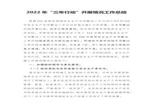 2022年“三年行動(dòng)”開(kāi)展情況工作總結(jié)（9頁(yè)）docx