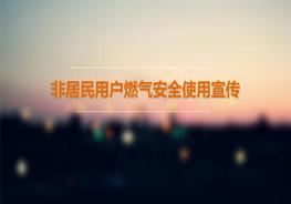 非居民用戶燃?xì)獍踩褂眯麄鳎?5頁）pptx