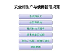 安全帽生產(chǎn)與使用管理規(guī)范（54頁(yè)）pptx